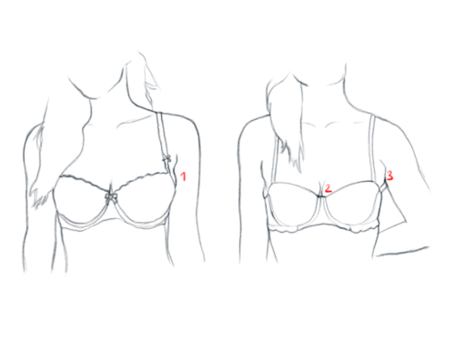 Bra statistics – Braradise