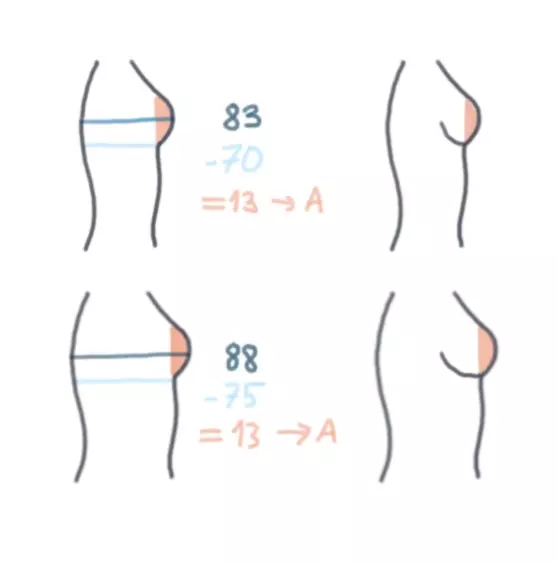 Bra statistics – Braradise